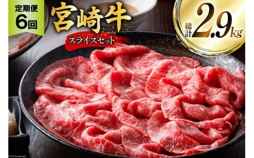 牛肉 定期便 宮崎牛スライスセット 6ヶ月定期便 [ミヤチク 宮崎県 美郷町 31au0107] 冷凍 スライス 小分け 個包装 牛モモ 牛バラ 牛 牛ロース 牛肩ロース