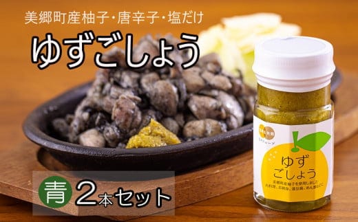 調味料 青ゆずごしょう 60g×2本 セット [農林産物直売所 美郷ノ蔵 宮崎県 美郷町 31ab0104] 青唐辛子 柚子 ゆず 塩 唐辛子 柚子胡椒 ギフト 調味料 宮崎県産 産 国産 送料無料 薬味 地鶏 刺身 焼き鳥 うどん そば そうめん 水炊き 鍋料理 肉料理 魚料理 手作り 手づくり 料理 調理 おかず