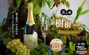 五ヶ瀬 スパークリング ワイン  樹樹 -JUJU-（ 白 ・ 甘口 ・ 発泡 タイプ ）