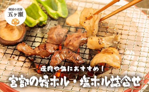 宮部の特ホル・塩ホル詰合せ