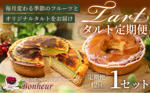 【全12回】タルト定期便 K351-T01_b