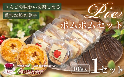 ポムポムセット（10個入り） K351-003