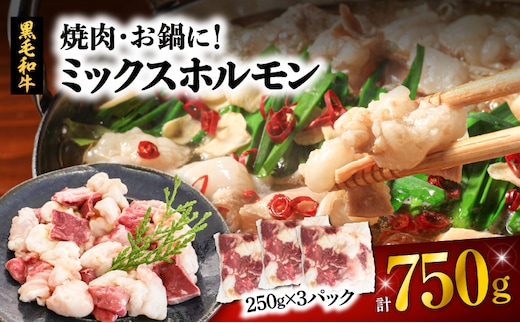 焼肉・お鍋に！ミックスホルモン750g（250g×3パック） K002-005_01