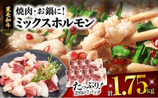 焼肉・お鍋に！ミックスホルモン1.75kg K002-005