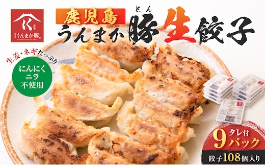 鹿児島うんまか豚生餃子9パック（餃子108個入り・タレ付） K005-003_02