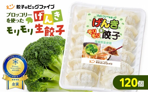 げんきモリモリ生餃子 120個 K027-010_02