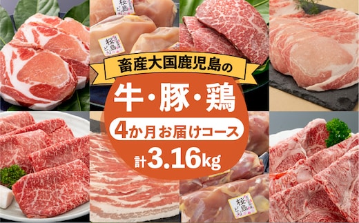 【岩元精肉店】鹿児島県産精肉 厳選4か月お届けコース K045-T04