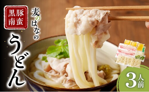 麦のはなの黒豚南蛮うどん【3人前】 K071-002