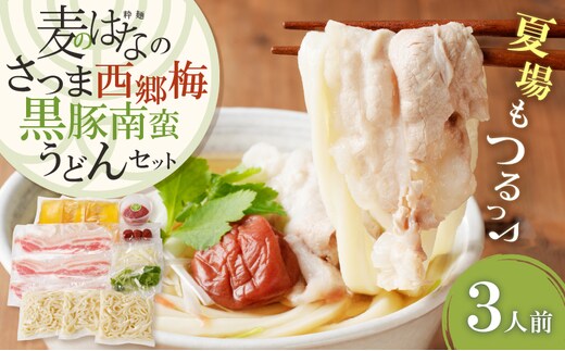 麦のはなのさつま西郷梅黒豚南蛮うどんセット K071-006