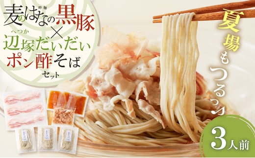 麦のはなの黒豚×辺塚だいだいポン酢そばセット【3人前】 K071-008