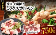 焼肉・お鍋に！ミックスホルモン750g（250g×3パック）　K002-005_01