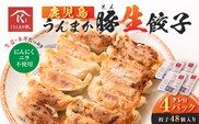 鹿児島うんまか豚生餃子4パック（餃子48個入り・タレ付）　K005-003_01