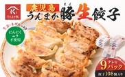 鹿児島うんまか豚生餃子9パック（餃子108個入り・タレ付）　K005-003_02