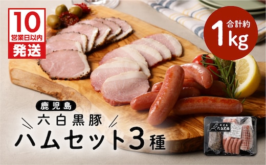 【10営業日以内に発送】鹿児島黒豚 ハムセット K091-001