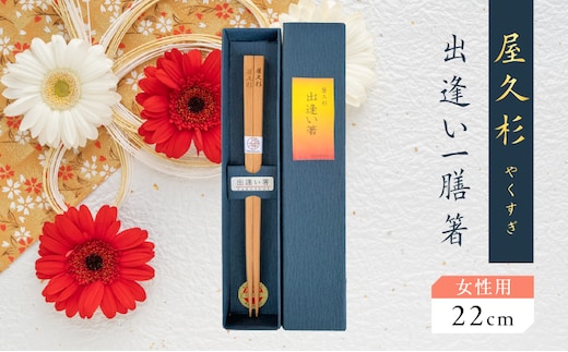 屋久杉 出逢い一膳箸 女性用（22cm） K042-007_1