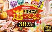 あとからセレクト【ふるさとギフト】30万円　K000-030