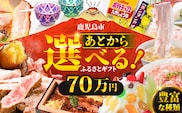 あとからセレクト【ふるさとギフト】70万円　K000-070