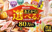 あとからセレクト【ふるさとギフト】80万円　K000-080