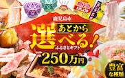 あとからセレクト【ふるさとギフト】250万円　K000-250