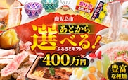 あとからセレクト【ふるさとギフト】400万円　K000-400
