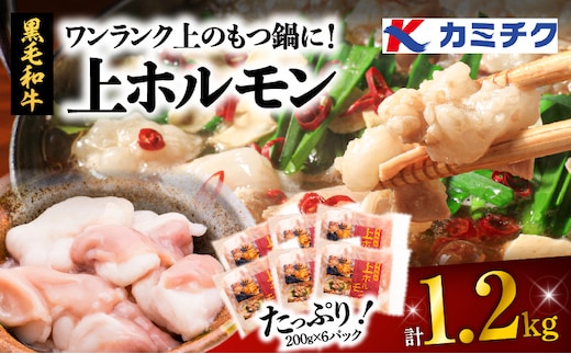 ワンランク上のもつ鍋に！小腸1.2kg（ホルモン） K002-004