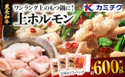 ワンランク上のもつ鍋に！上ホルモン600g（200g×3パック）　K002-004_01