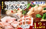 ワンランク上のもつ鍋に！小腸1.2kg（ホルモン）　K002-004