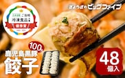 【第1回 日本全国！ご当地冷凍食品大賞 2024-2025 優秀賞受賞！】鹿児島黒豚100%餃子 48個入り　K027-008