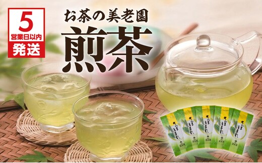 【5営業日以内に発送】お茶の美老園 煎茶 K021-002