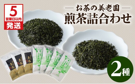 【5営業日以内に発送】お茶の美老園 煎茶詰合せ K021-004