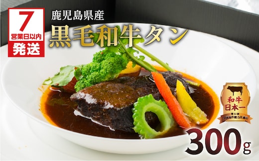 【7営業日以内に発送】【洋食グリル肝付】自慢の鹿児島県産黒毛和牛タン レトルトシチュー K084-002