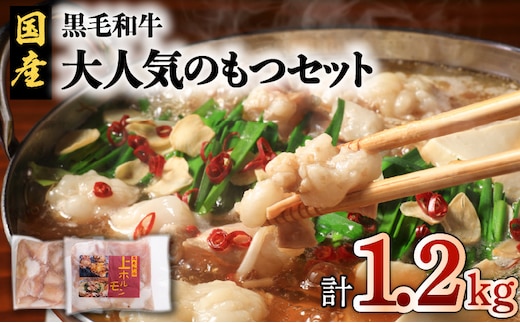 黒毛和牛！大人気のもつ（ホルモン）セット K002-006