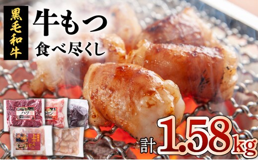 牛もつ（ホルモン）食べ尽くし！オールスターセット K002-008