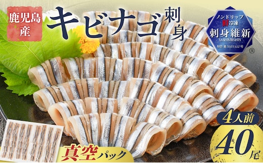 鹿児島産 キビナゴ刺身 40尾 4人前 K100-010