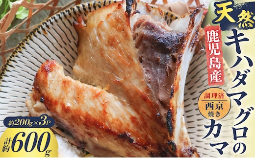 鹿児島産 天然 キハダマグロのカマ約200g×3P 調理済 （西京焼き） K100-012_02