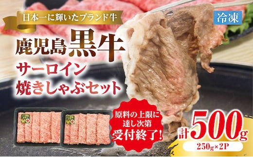 （KH-401）鹿児島黒牛サーロイン焼きしゃぶセット（計500g） K127-018_01