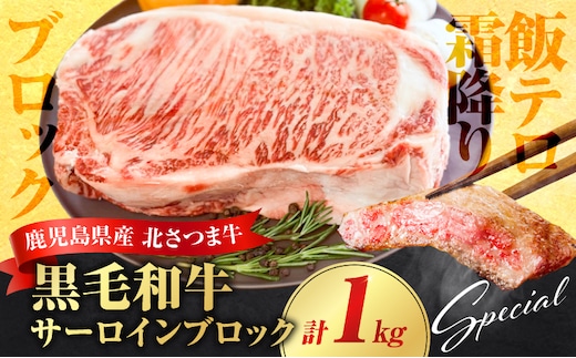 北さつま牛 サーロインブロック K137-007