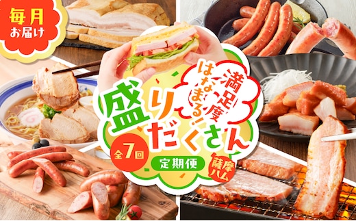 【全7回】盛りだくさん定期便（毎月お届け） K161-T07m