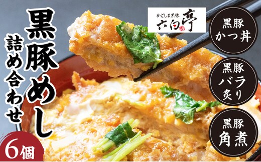 【かごしま黒豚 六白亭】黒豚めし詰合せ 6個 K163-004
