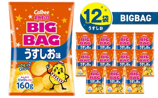 カルビー ポテトチップス BIGBAG【うすしお】12袋 K194-002_04