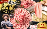 昔ながらの黒豚しゃぶしゃぶ1.2kg＜モモ＞　K125-007