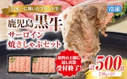 （KH-401）鹿児島黒牛サーロイン焼きしゃぶセット（計500g）　K127-018_01