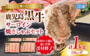 （KH-501）鹿児島黒牛サーロイン焼きしゃぶセット（計1kg）　K127-018_02