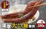 【全6回定期便】薩摩大とろ鰻蒲焼特大サイズ一尾　K190-T03