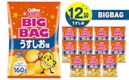 カルビー ポテトチップス BIGBAG【うすしお】12袋　K194-002_04