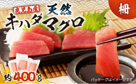鹿児島産 天然 キハダマグロ 柵 約400g K100-005