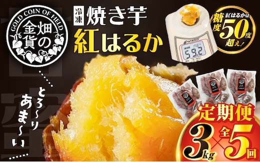 【全5回】【畑の金貨】焼き芋紅はるか3kg 定期便 K181-T02