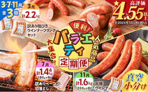 【全3回】バラエティ定期便（3・7・11月お届け） K161-T05