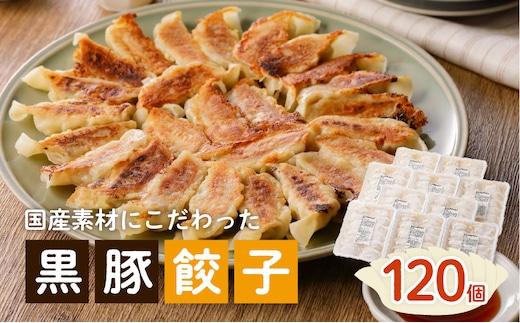 国産素材にこだわった黒豚餃子120個 K111-015
