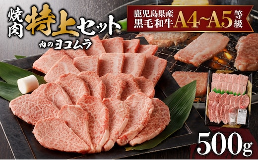 【鹿児島黒毛和牛A4～A5】焼肉特上セット（特上カルビ/特上ロース） K189-007